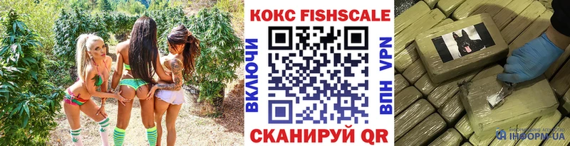 сколько стоит Жуковский Кокаин Эквадор