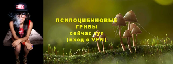 мяу мяу мука Арсеньев