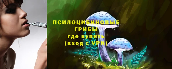 мяу мяу мука Арсеньев