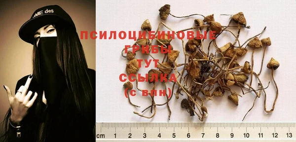 мяу мяу мука Арсеньев